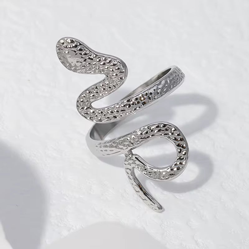 Rattle adjustable ring