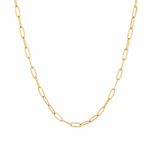Linked up necklace